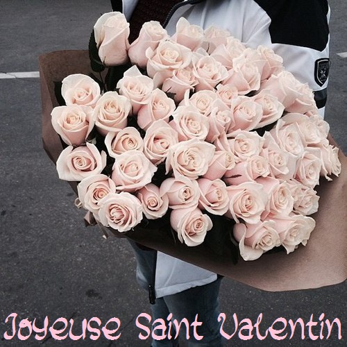 Saint Valentin 2015 (2).jpg