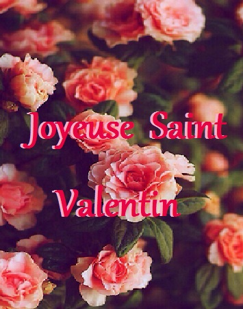Saint Valentin 2015 (4).jpg