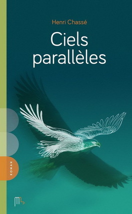 ciels_paralleles-4950690-264-432.jpg