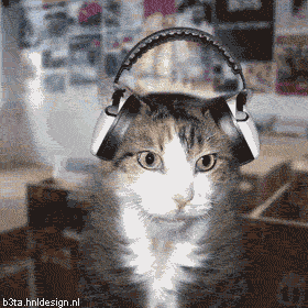494.gif