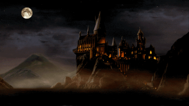 2d166b4735d18837e60a12efa8fb8af4.gif