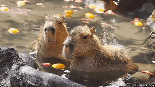 6a94940758b6aa1c72a5218602ba77f3.gif