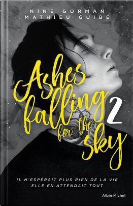 ashes falling for the sky 2.png