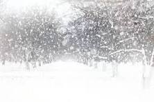 tempete de neige.jpeg
