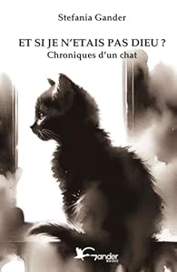 Et si je n'étais pas Dieu.jpg