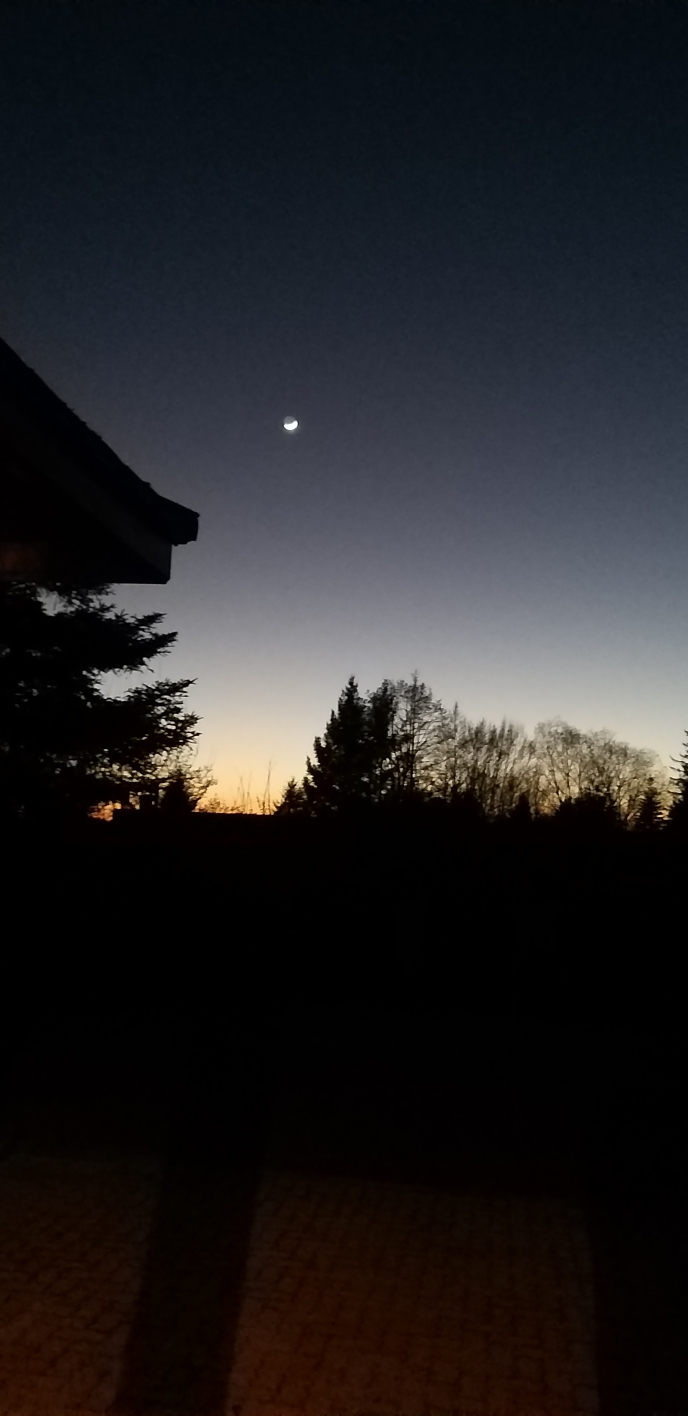 Resized_20250331_205438.jpeg