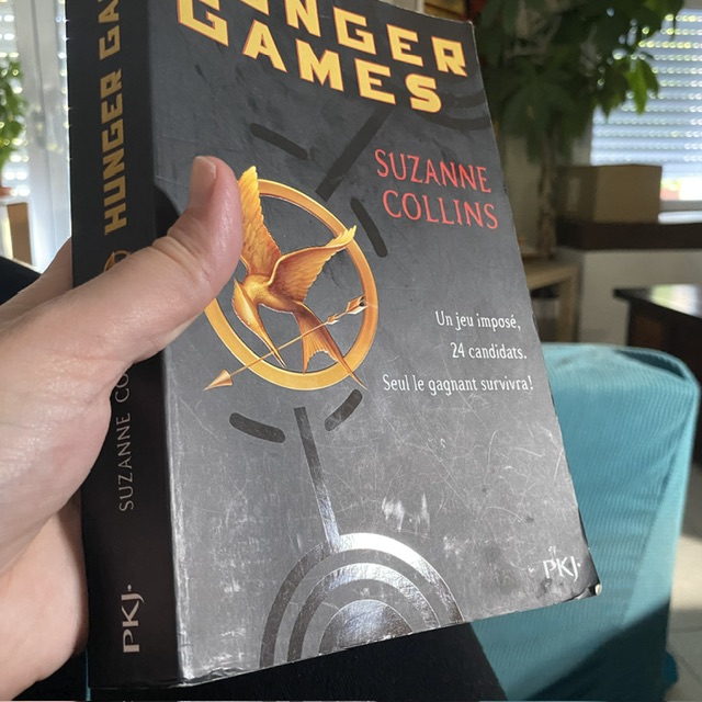 Hunger Games.jpeg