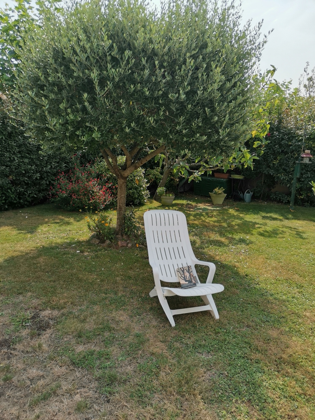Ma chaise à l'ombre