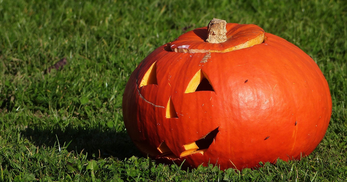citrouille-halloween-simple.jpg