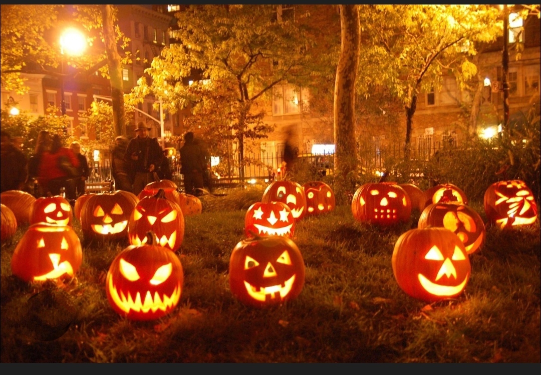Champ de citrouilles