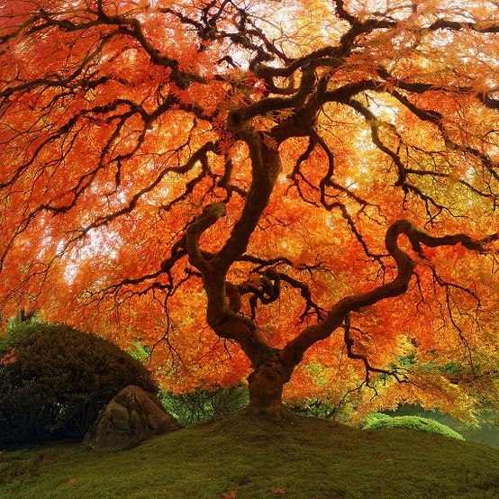 equinoxe-automne.jpeg