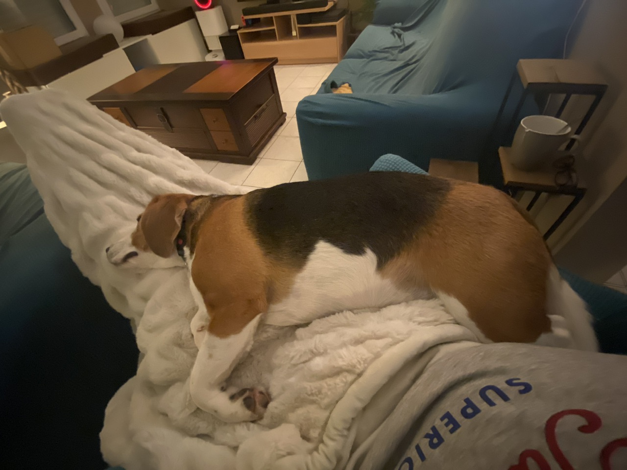 IMG_4506.jpeg