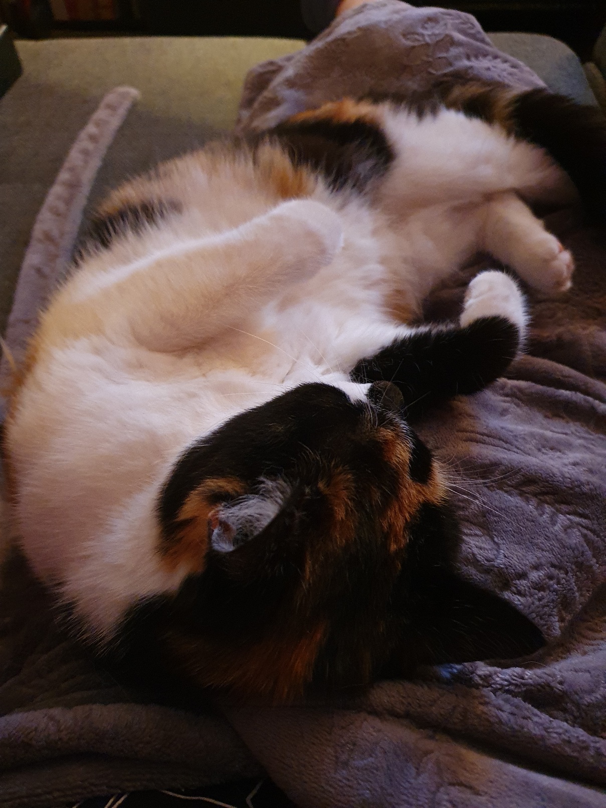 20250819_225259.jpg