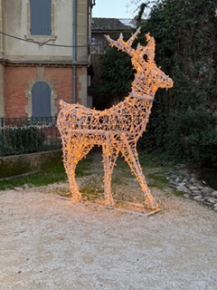 IMG_0090.jpeg