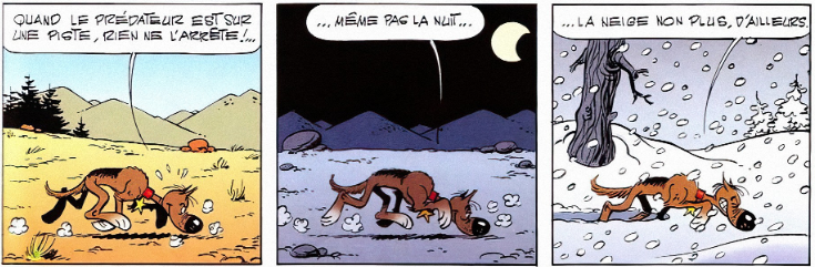 Rantanplan 12.png