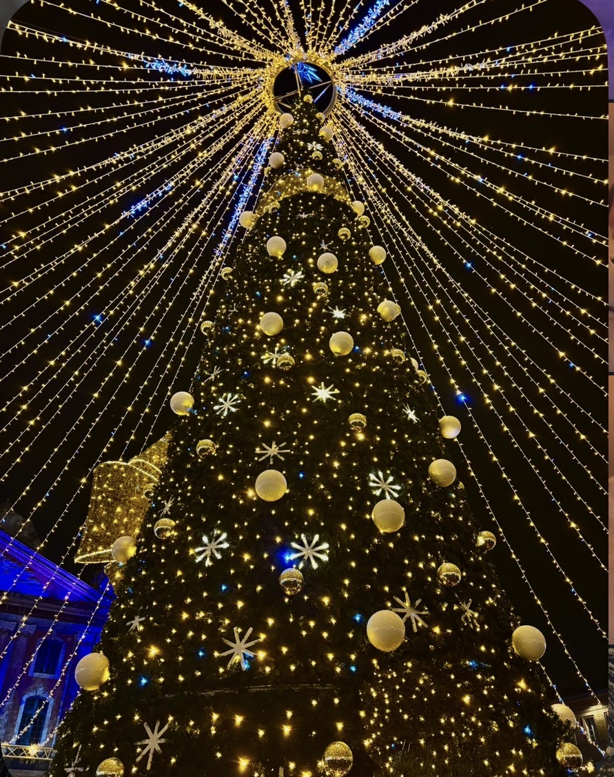 IMG_3336.jpeg