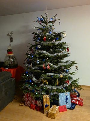 Sapin 2025.JPG
