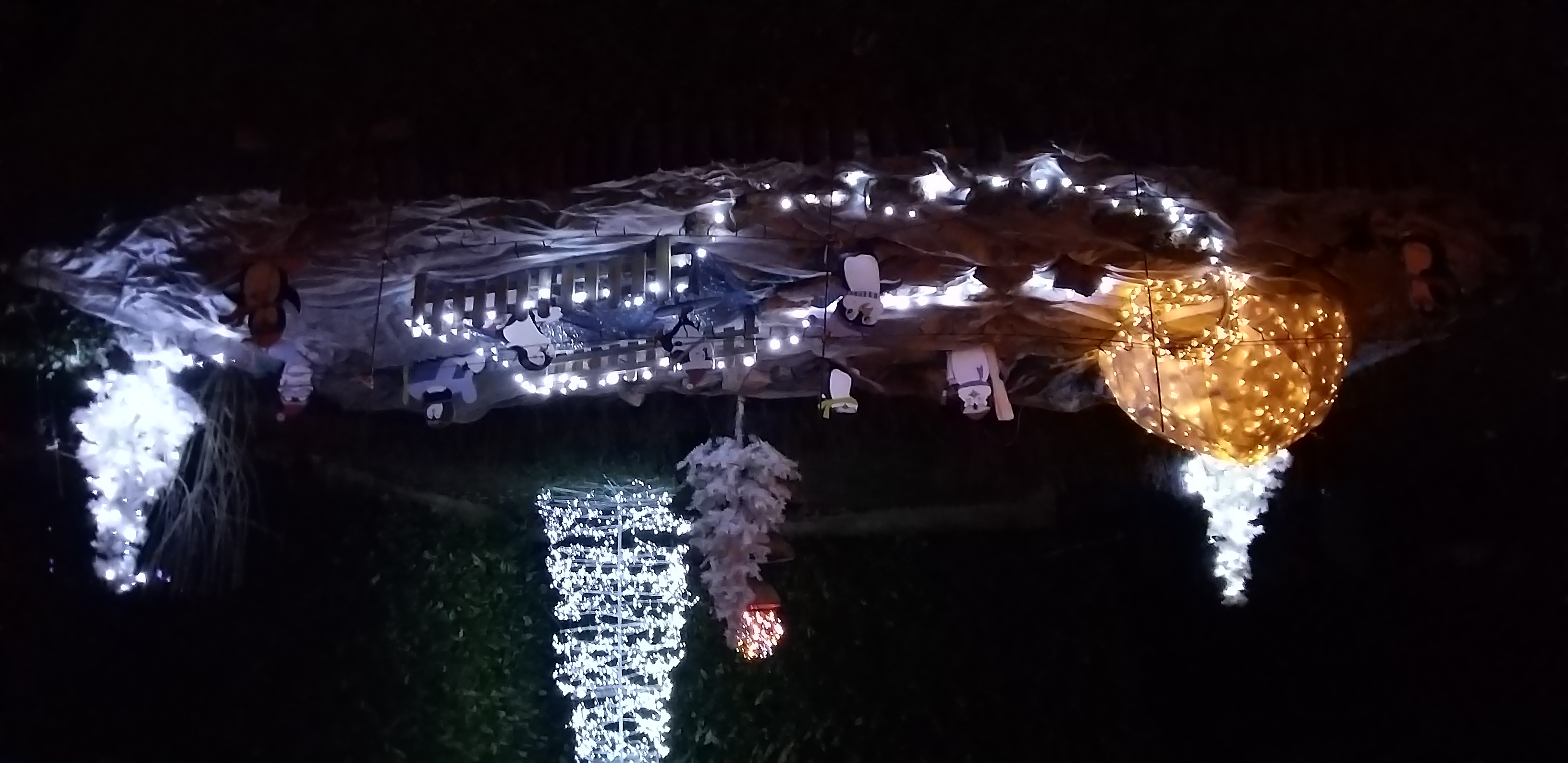 Décembre 2025 064.jpg