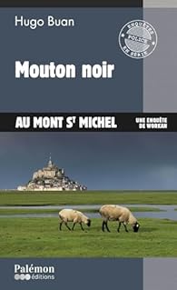 mouton noir au mont st Michel T 14_.jpg