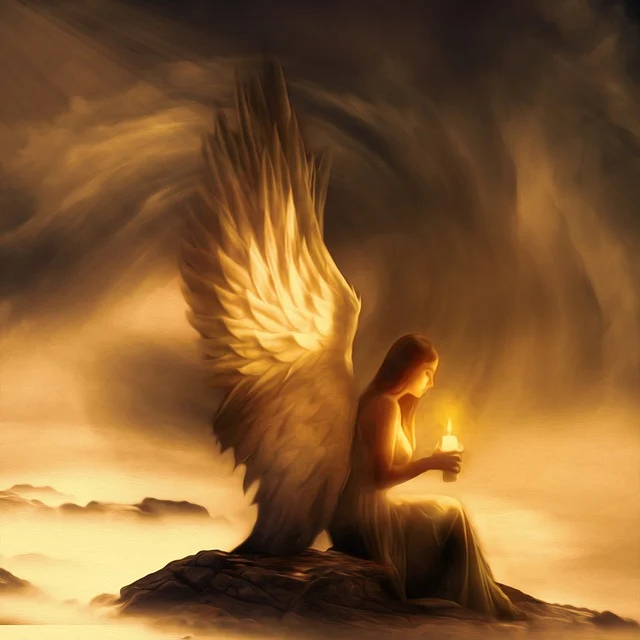 wing-7018465_640.webp